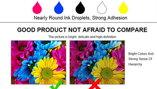 1000ml Pigment Ink TAIWAN DONGZHOU Compatible Led UV Curable Uv Sublimation Ink